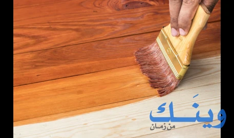 ناصر محمود يوسف هوشه